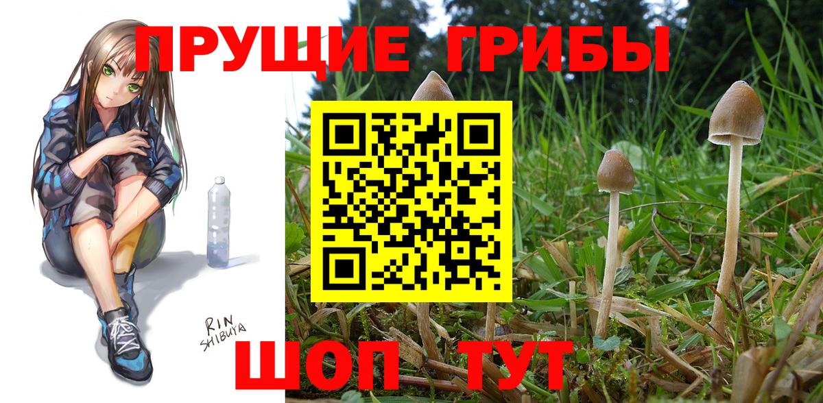 наркотики  Псилоцибиновые грибы MAGIC MUSHROOMS  Вход с VPN  Выкса 