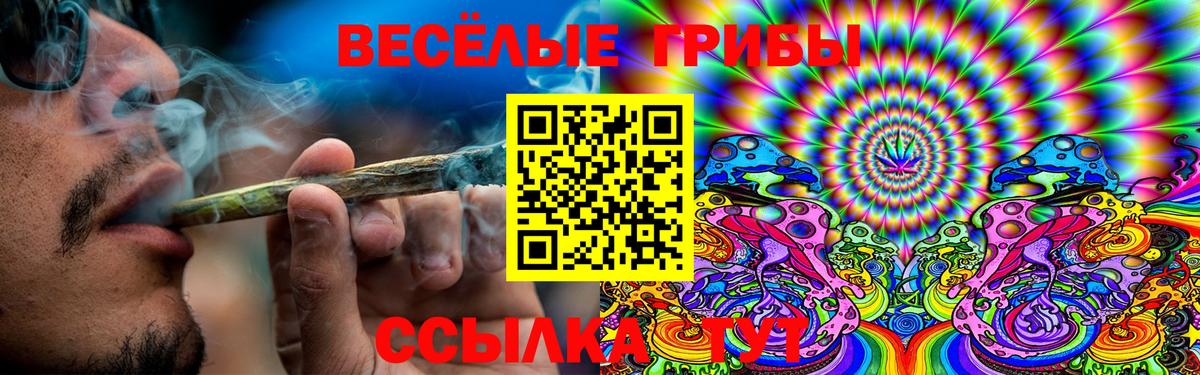 Галлюциногенные грибы мухоморы Выкса
